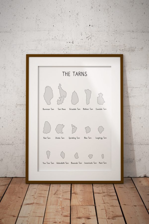 The Tarns shaded line art print in a picture frame